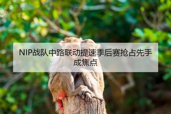 NIP战队中路联动提速季后赛抢占先手成焦点